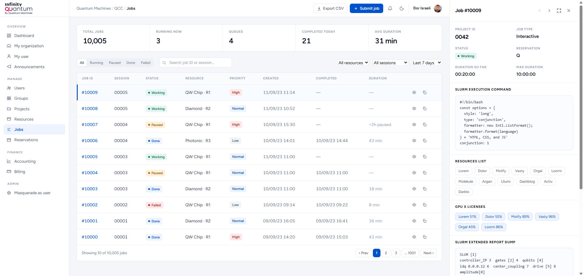 Infinity Quantum job detail page with SLURM command, resources, licenses, JSON, and generated text